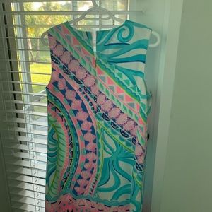 Lilly Putizer Dress